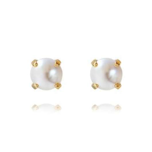 Caroline Svedbom - Classic Stud Earrings Gold Pearl
