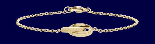 Daniel Wellington DW Elan Unity Bracelet 165mm Gold