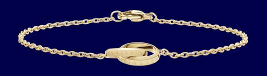 Daniel Wellington DW Elan Unity Bracelet 175mm Gold