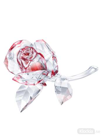 Swarovski Blossoming Rose, Red 5428561